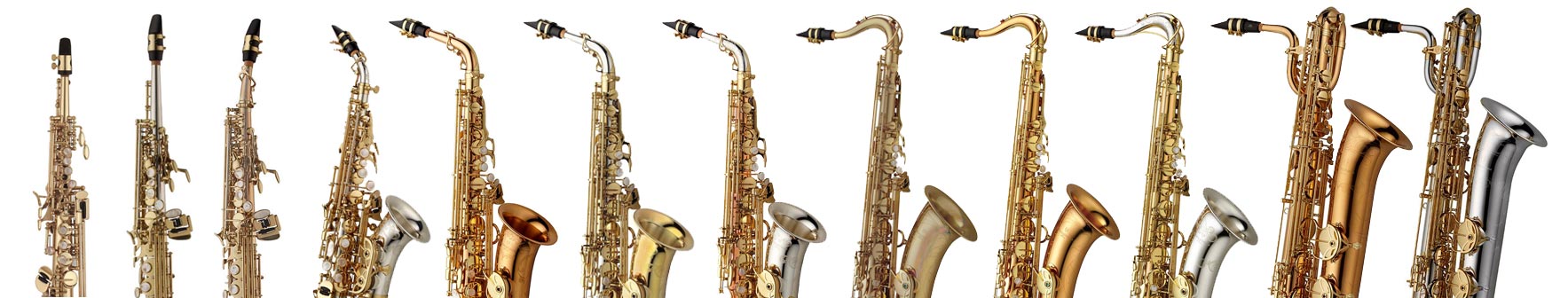 Suspendus-Yanagizawa